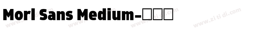 Morl Sans Medium字体转换